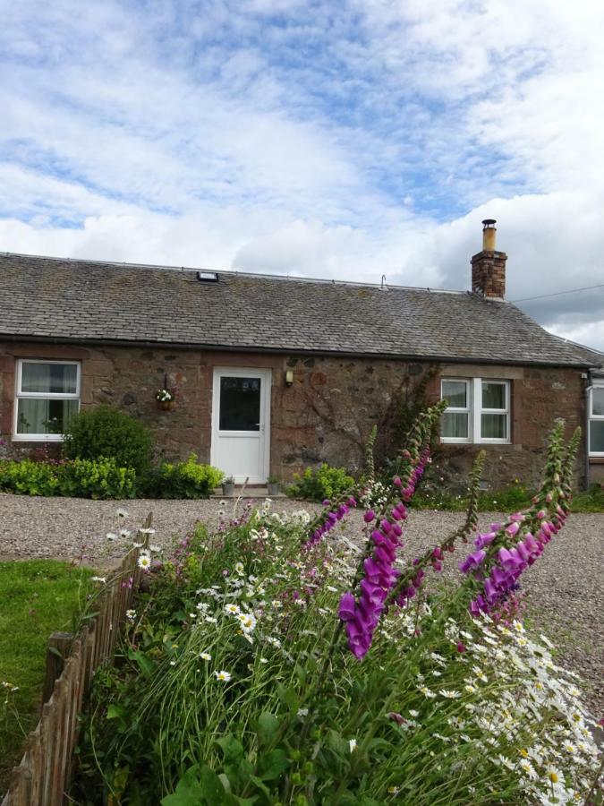 Incheoch Farm Cottage Kilry Extérieur photo